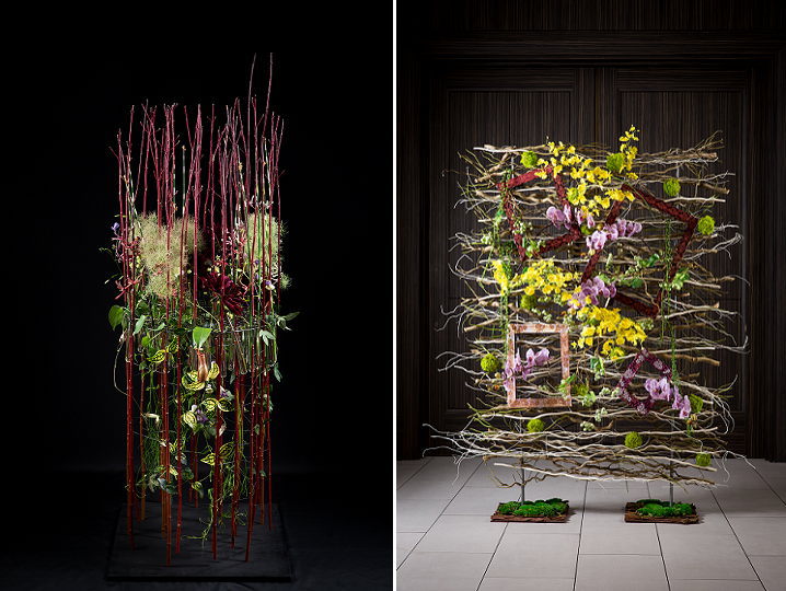 秋桜花シンポジウム2016