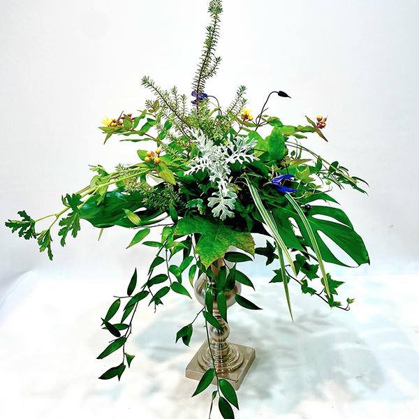 デモンストレーション